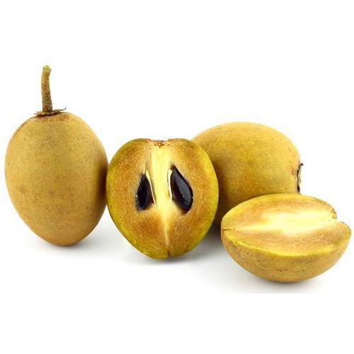 Chico (Sapodilla)